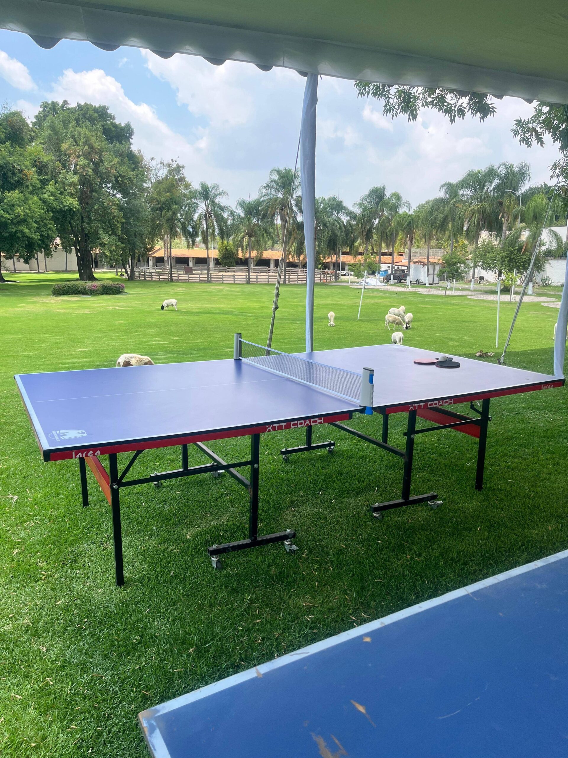Futbolito en evento Guadalajara
